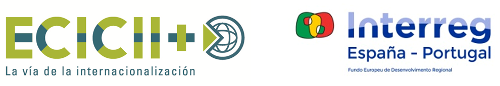 Introducción y claves para concurrir con éxito a una Contratación Pública para el Sector TIC