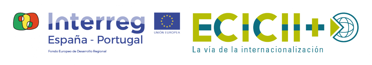 Introducción y claves para concurrir con éxito a una Contratación Pública para el Sector TIC
