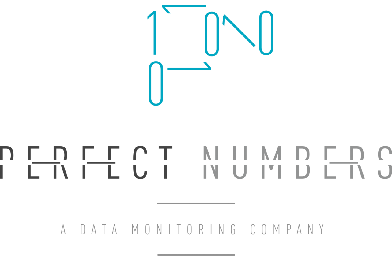 DATA MONITORING SL