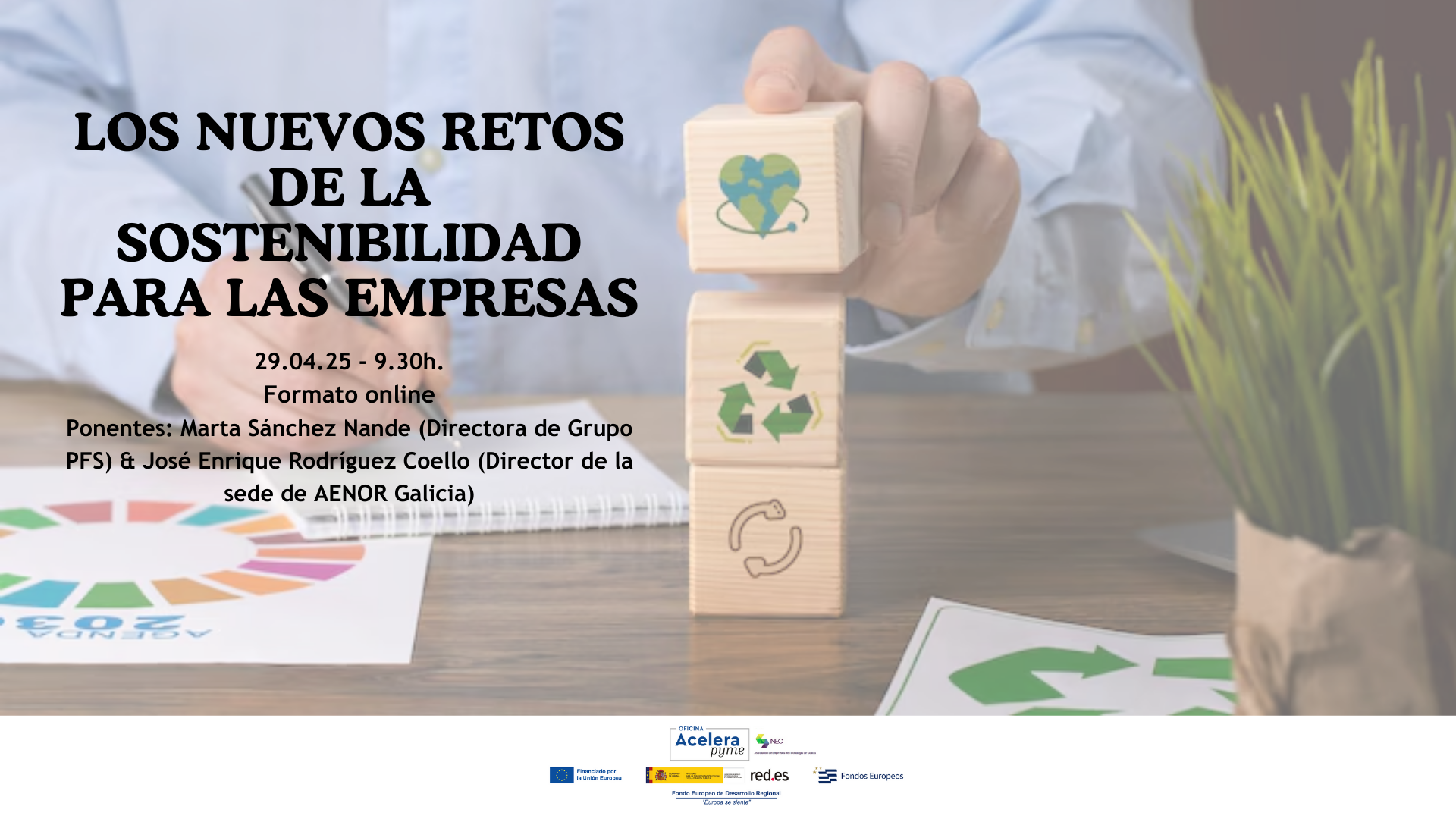 Introducción y claves para concurrir con éxito a una Contratación Pública para el Sector TIC